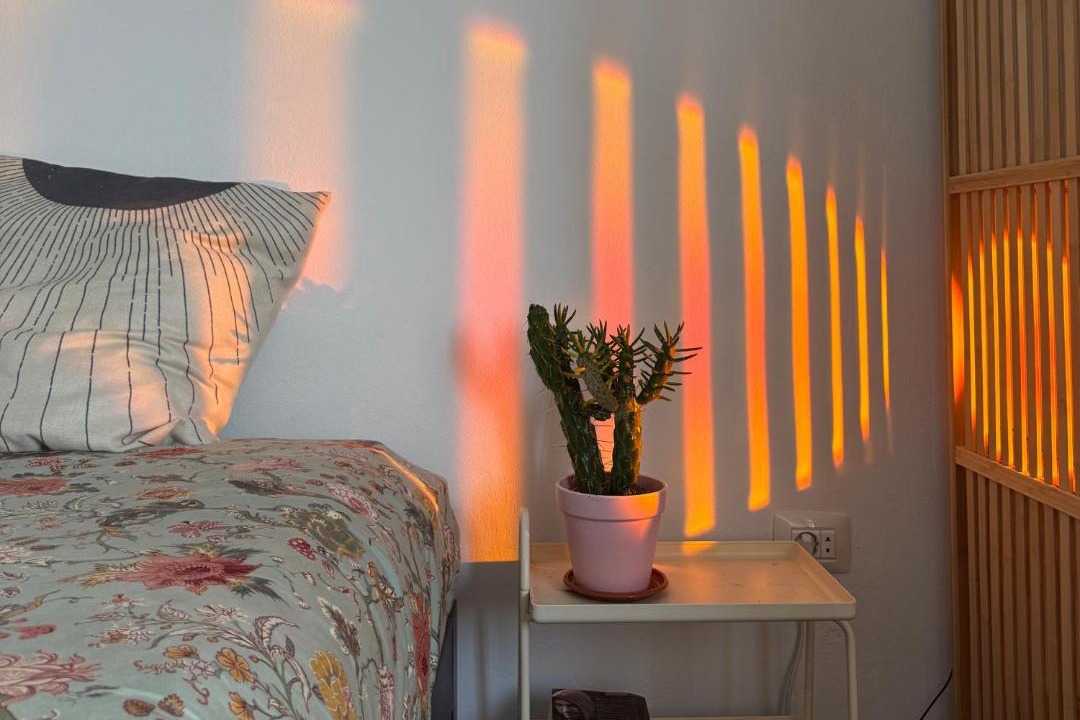Photo of Bedroom in San Andres