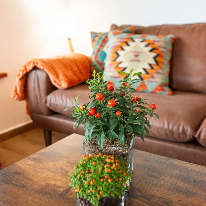 Photo of Livingroom in Cangas de Onis