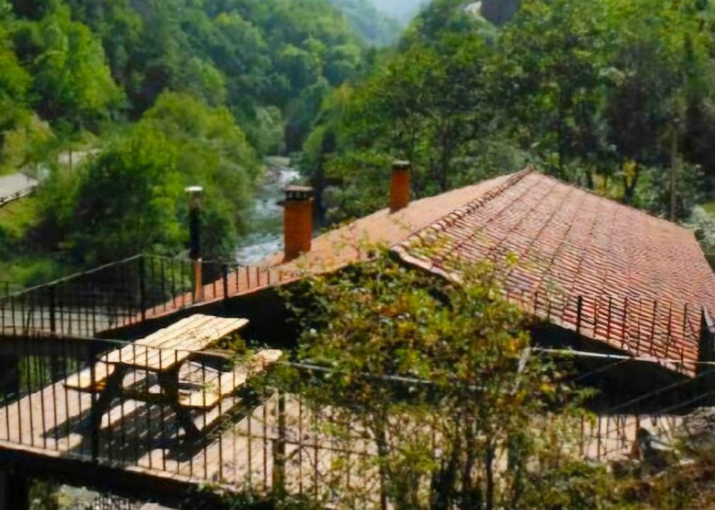 Photo of Others in Ponga