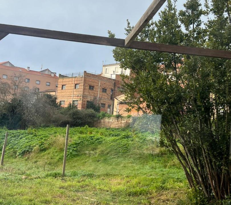 Photo of Others in Navarrete