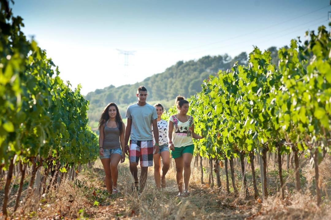 Photo of Others in El Pla del Penedes