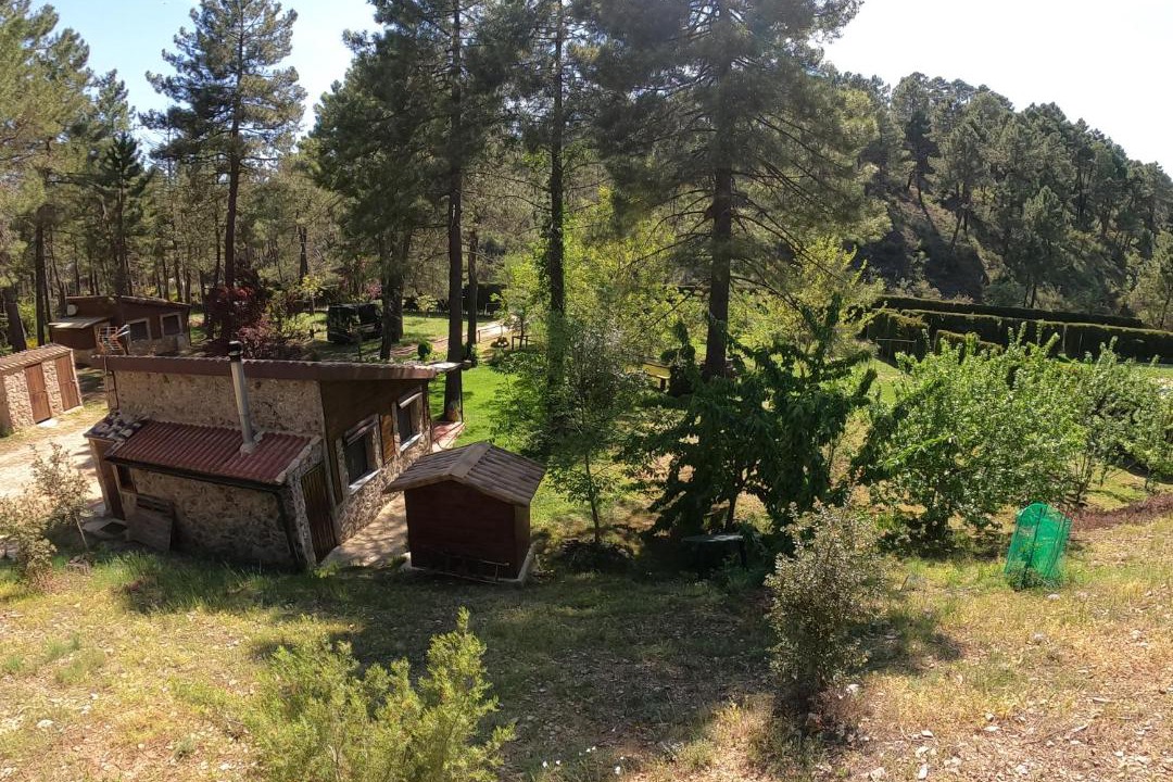 Photo of Others in Riopar