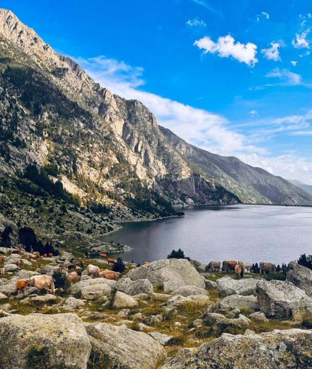 Photo of Others in Erill la Vall