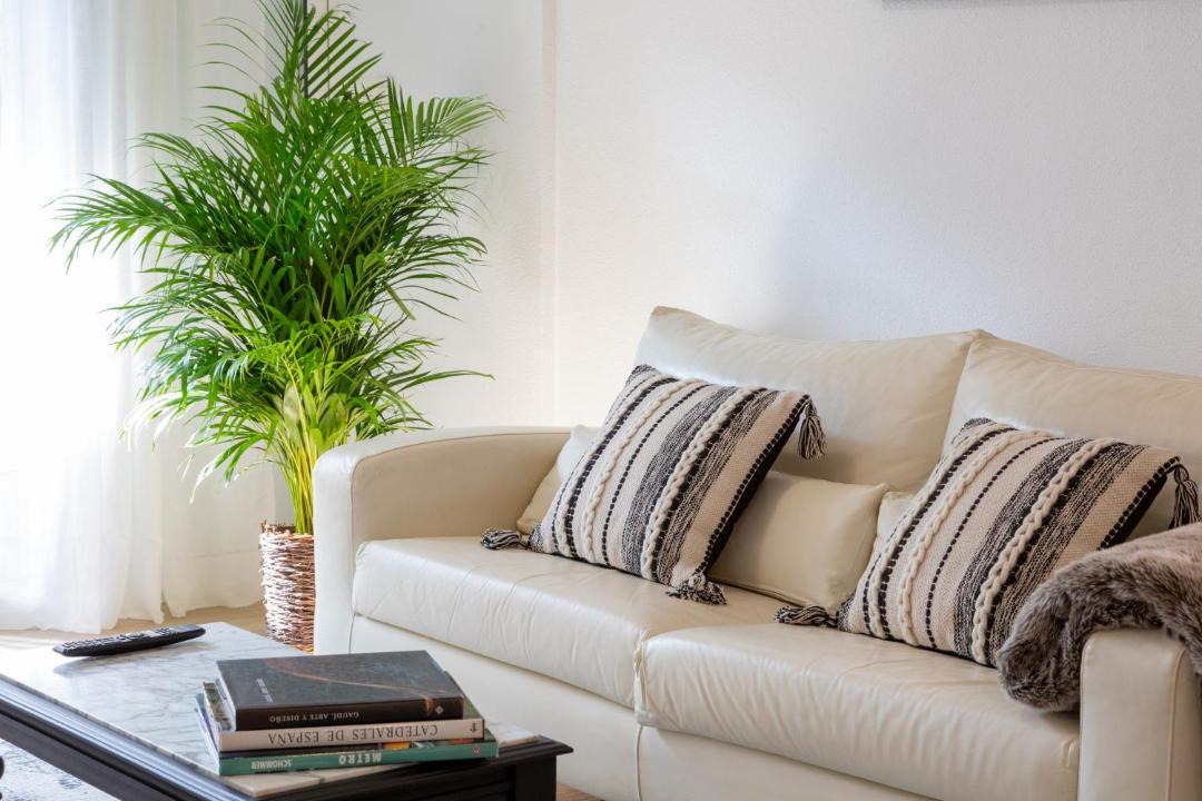Photo of Livingroom in La Torreta