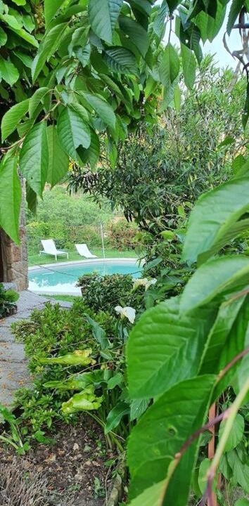 Photo of Outdoor in Pereiro de Aguiar