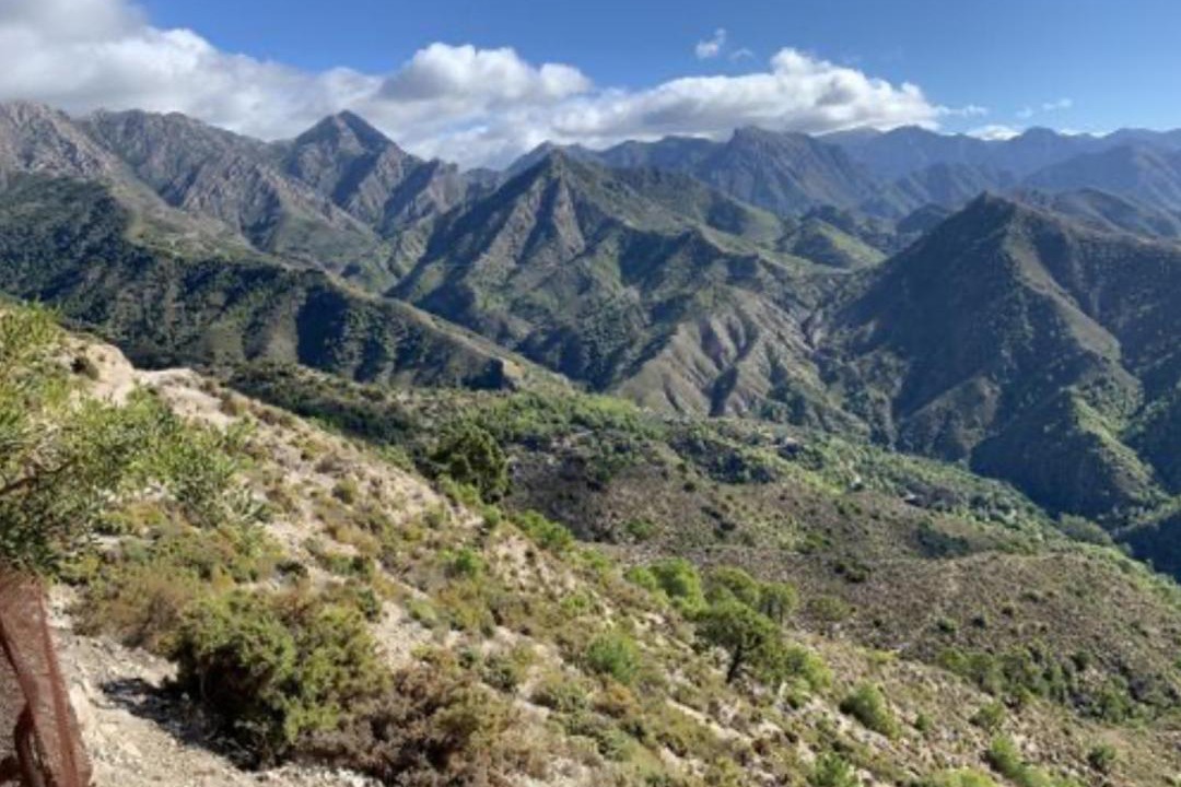 Photo of Others in Competa
