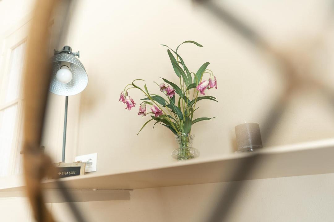 Photo of Bathroom in Riudellots de la Selva