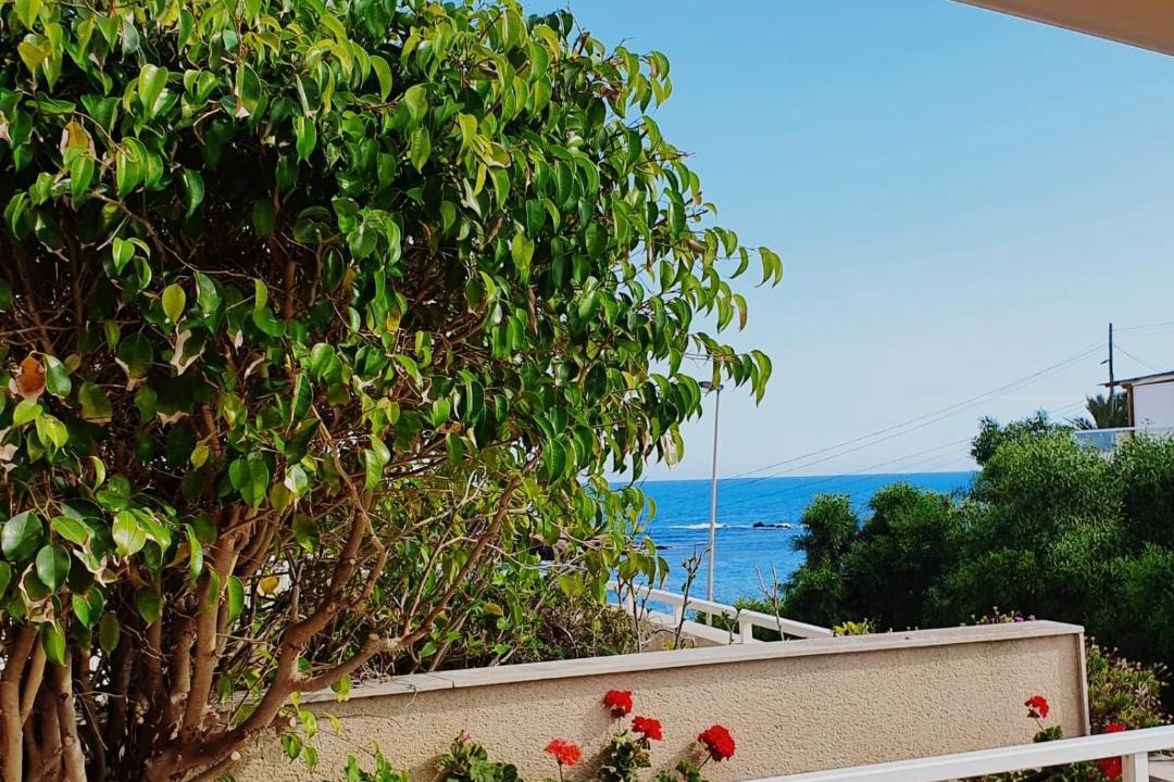 Photo of Patio Balcony in Cala Reona