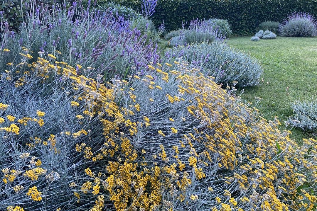 Photo of Outdoor in L'Armentera