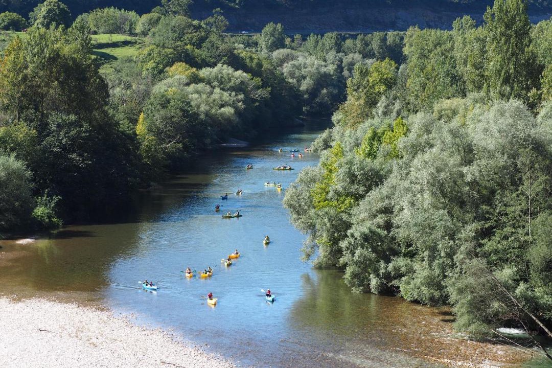 Photo of Others in Buelles