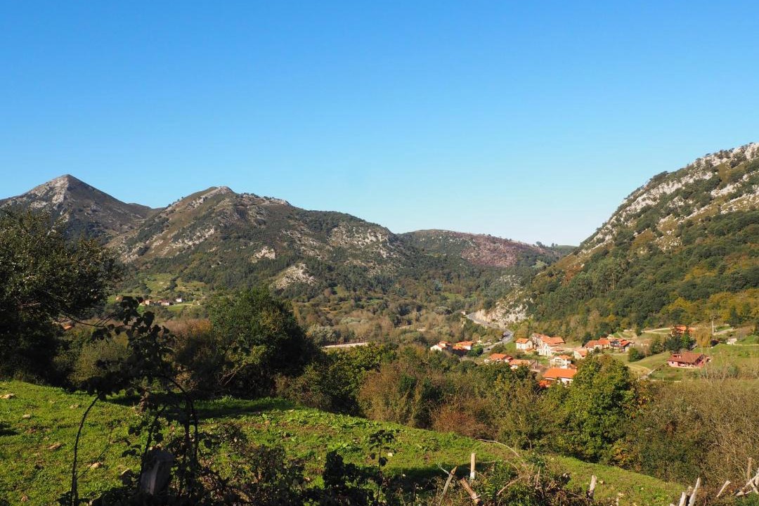 Photo of Others in Buelles