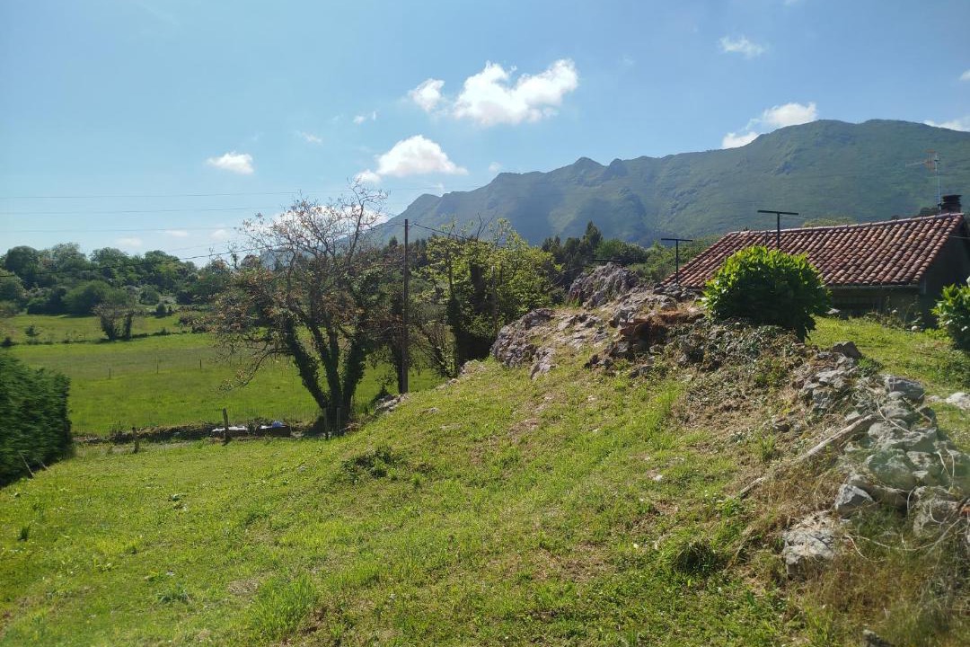 Photo of Others in Llamigo
