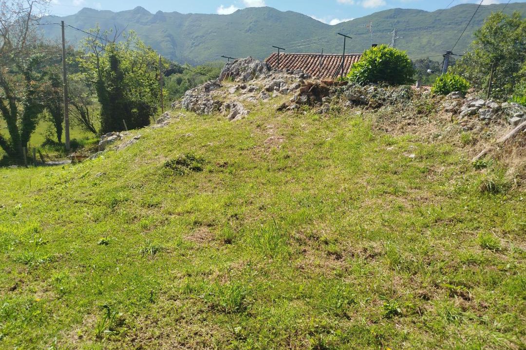 Photo of Others in Llamigo