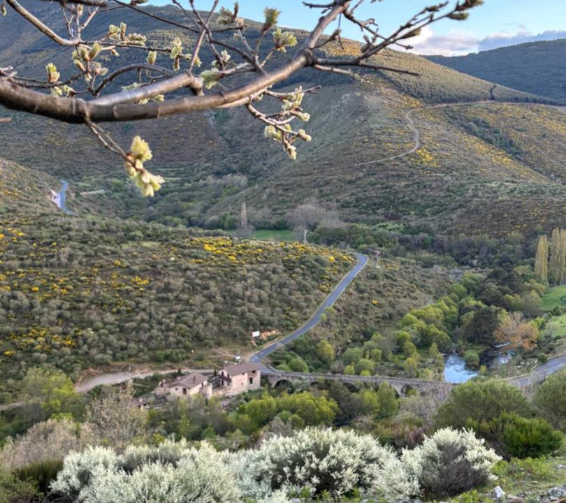 Photo of Others in San Juan de Gredos