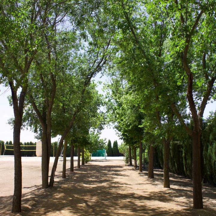 Photo of Outdoor in Argamasilla de Alba