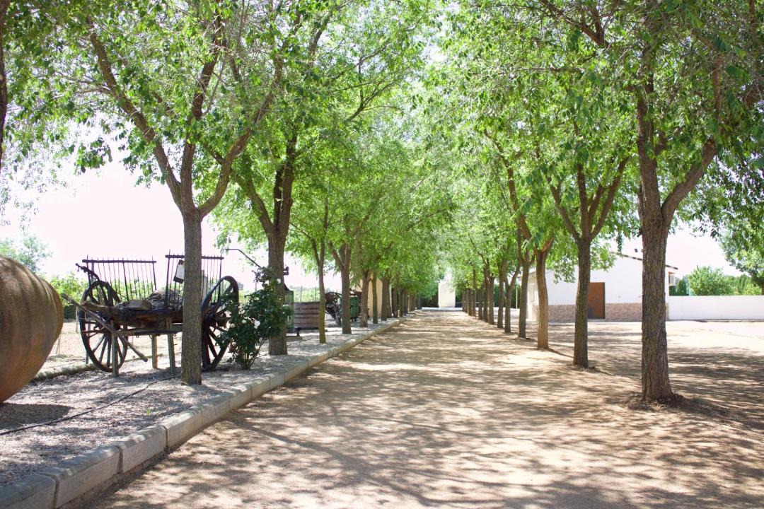 Photo of Others in Argamasilla de Alba