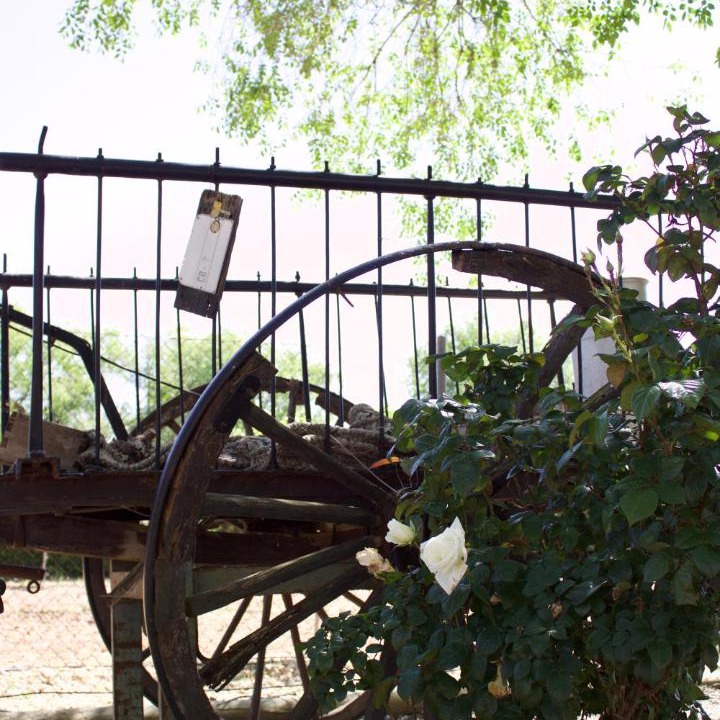Photo of Others in Argamasilla de Alba