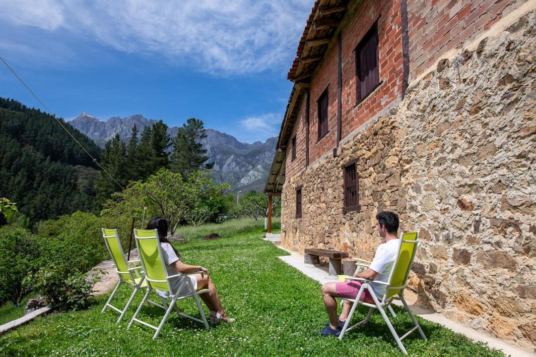Photo of Others in Turieno