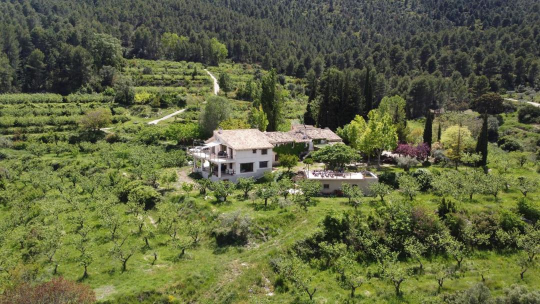 Photo of Others in Moratalla