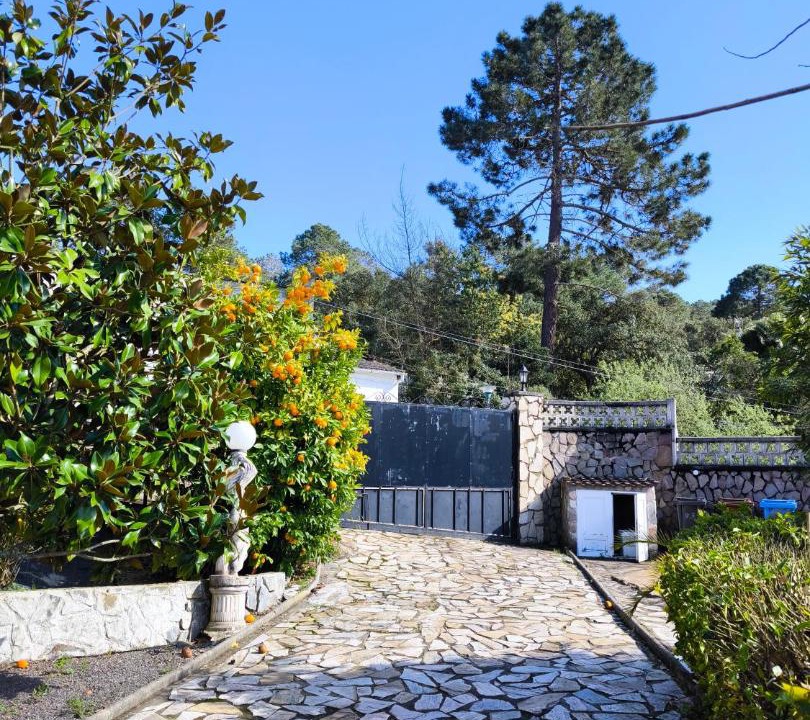 Photo of Others in Puigventos