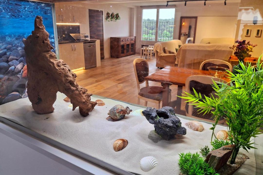 Photo of Livingroom in Pujals dels Cavallers