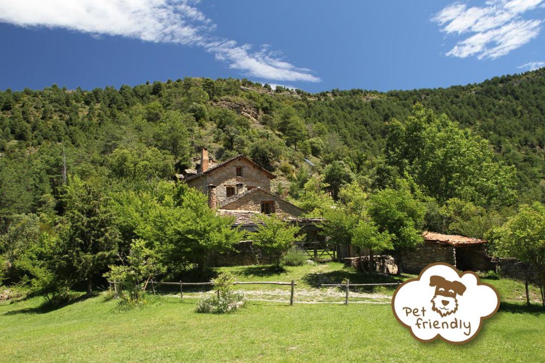 Photo of Others in Coll de Nargo