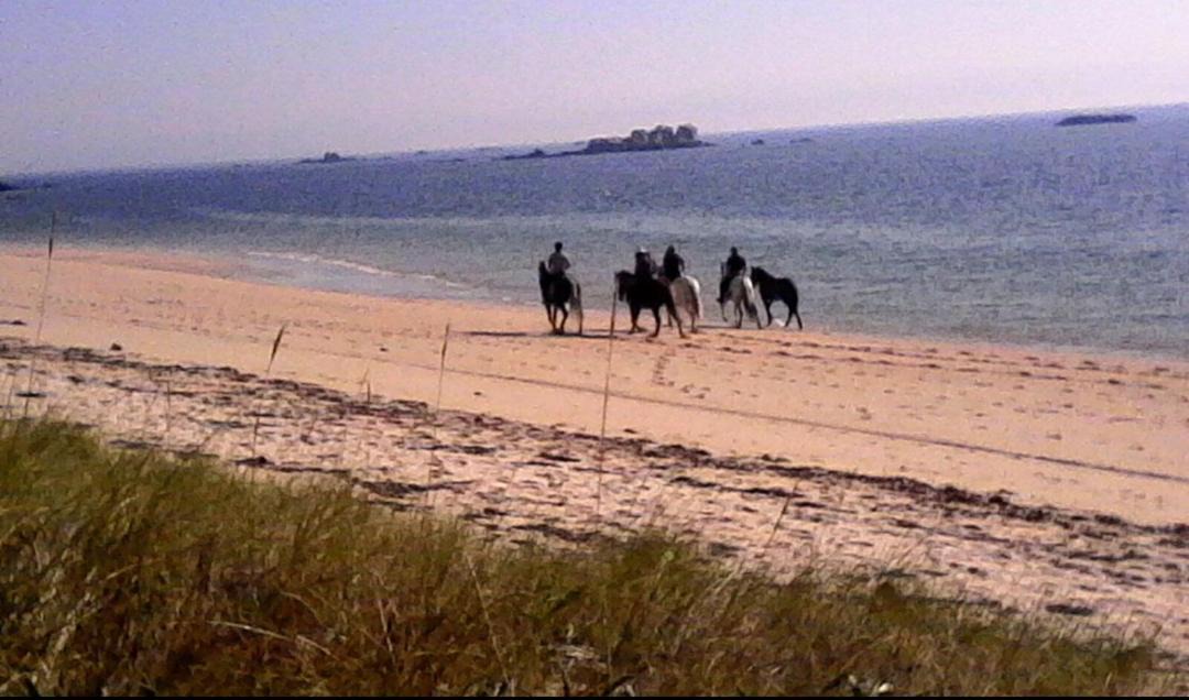 Photo of Others in Aguino