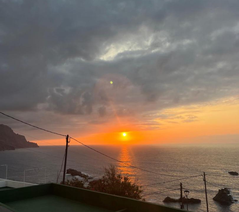 Photo of Others in Santa Cruz de Tenerife