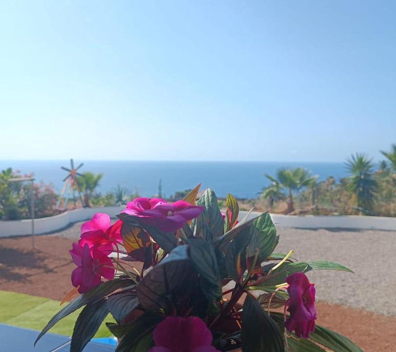 Photo of Patio Balcony in La Mancha
