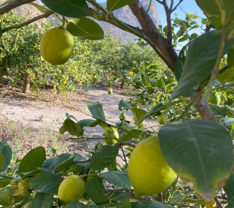 Photo of Outdoor in Huerta de Arriba