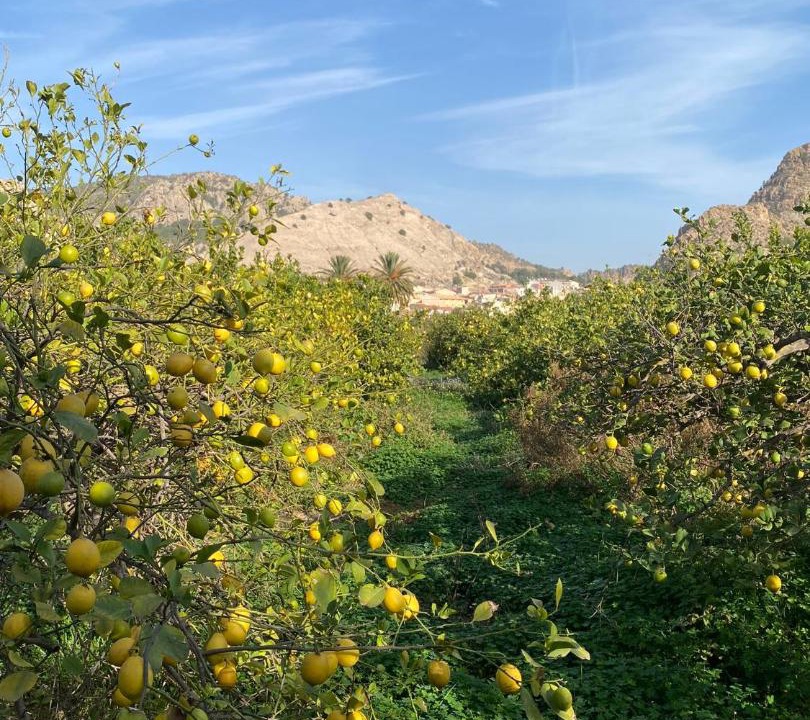 Photo of Others in Huerta de Arriba