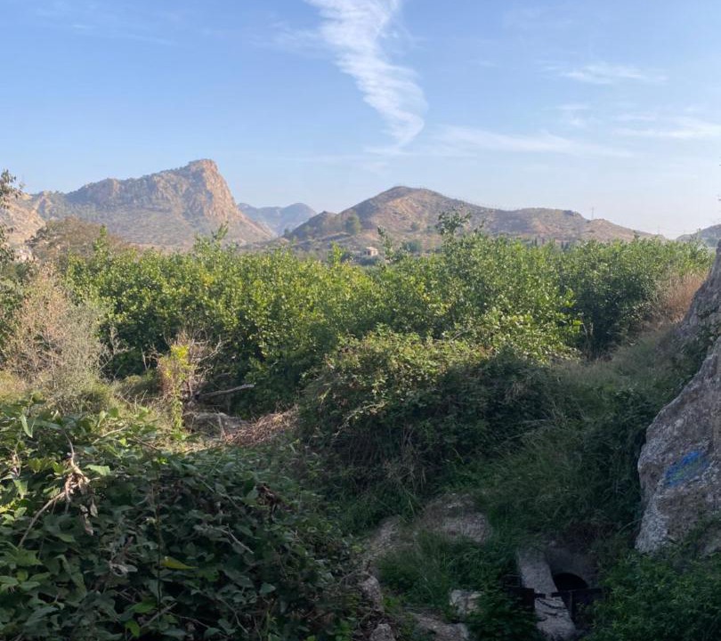 Photo of Others in Huerta de Arriba