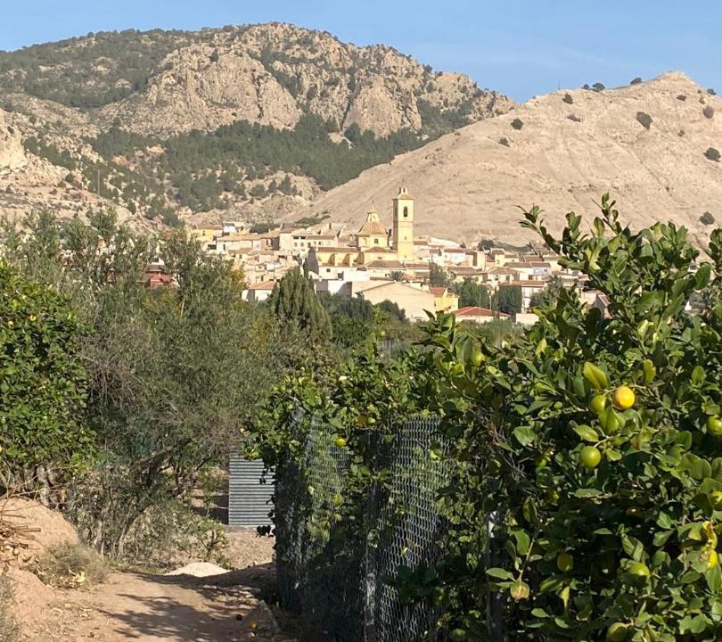 Photo of Others in Huerta de Arriba