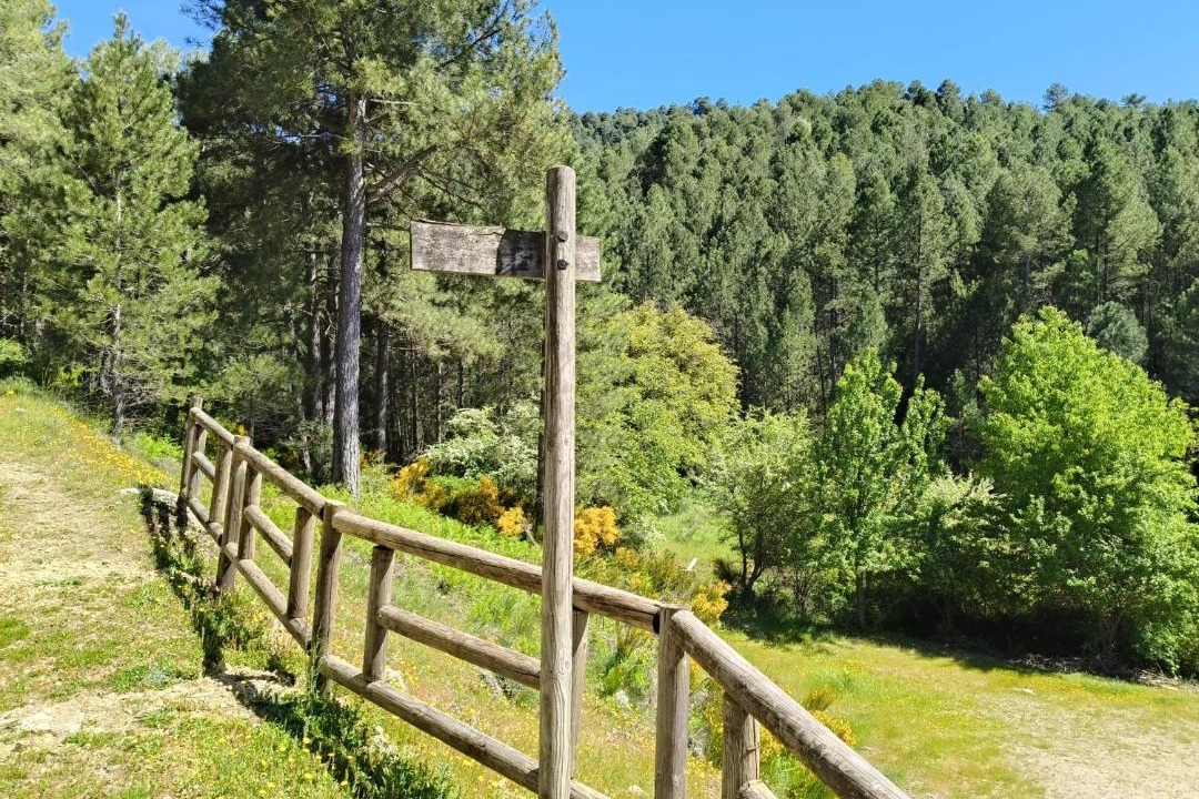 Photo of Others in Segura de la Sierra