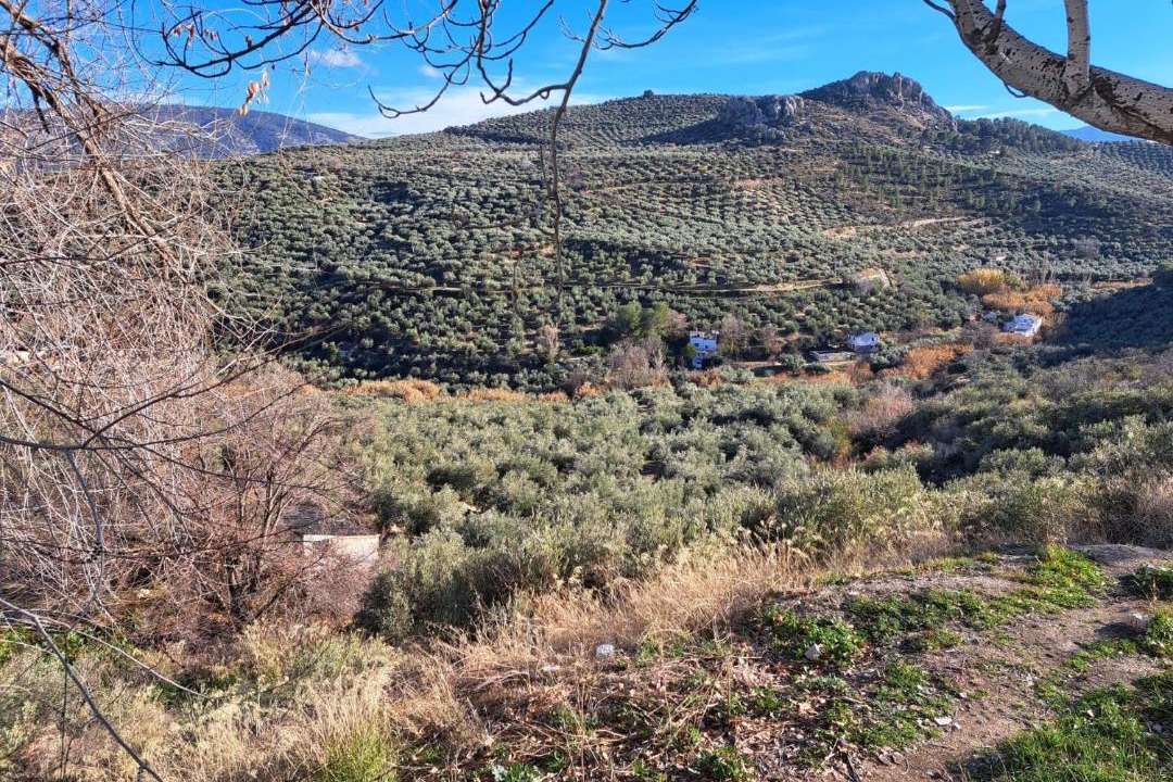 Photo of Others in Jaen