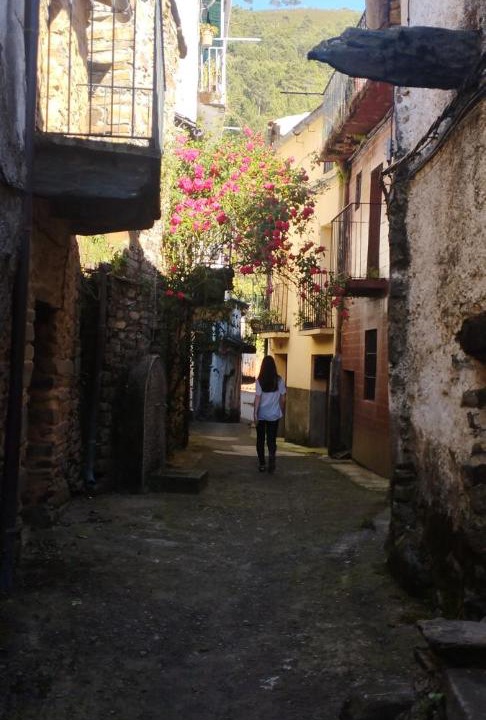 Photo of Others in Pinofranqueado