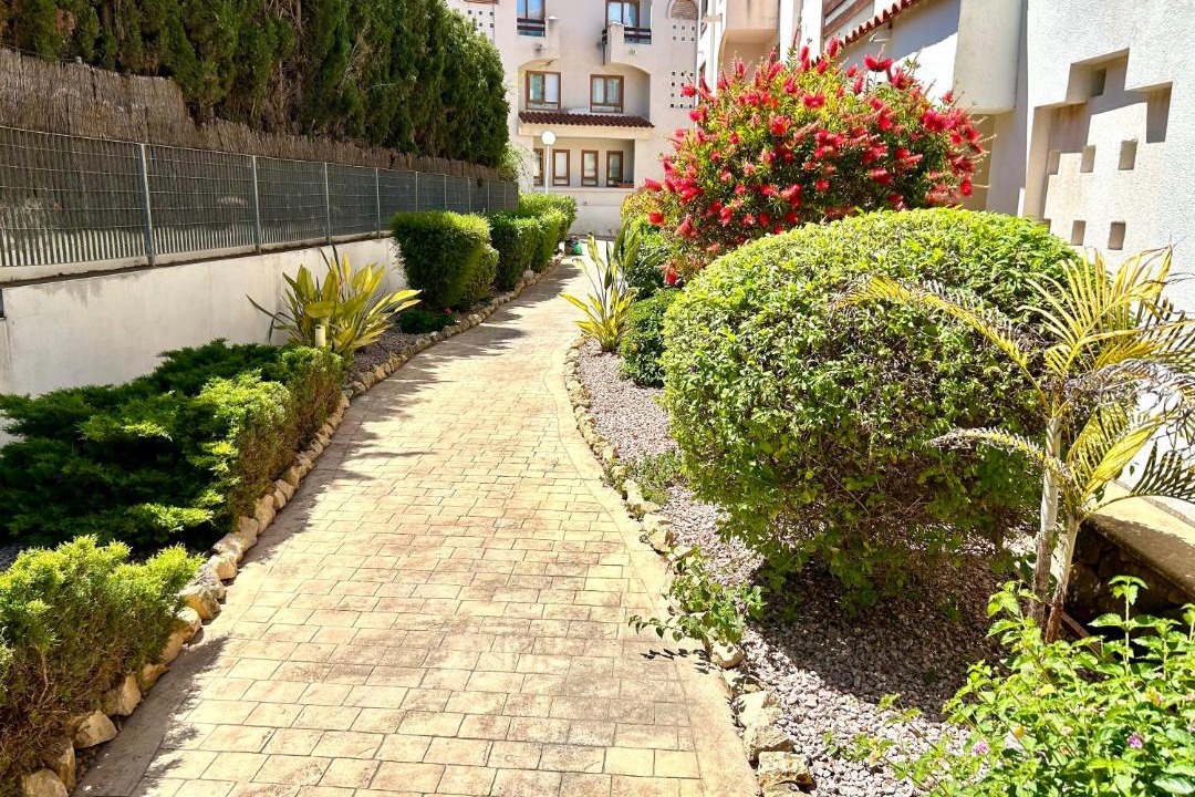Photo of Others in El Albir