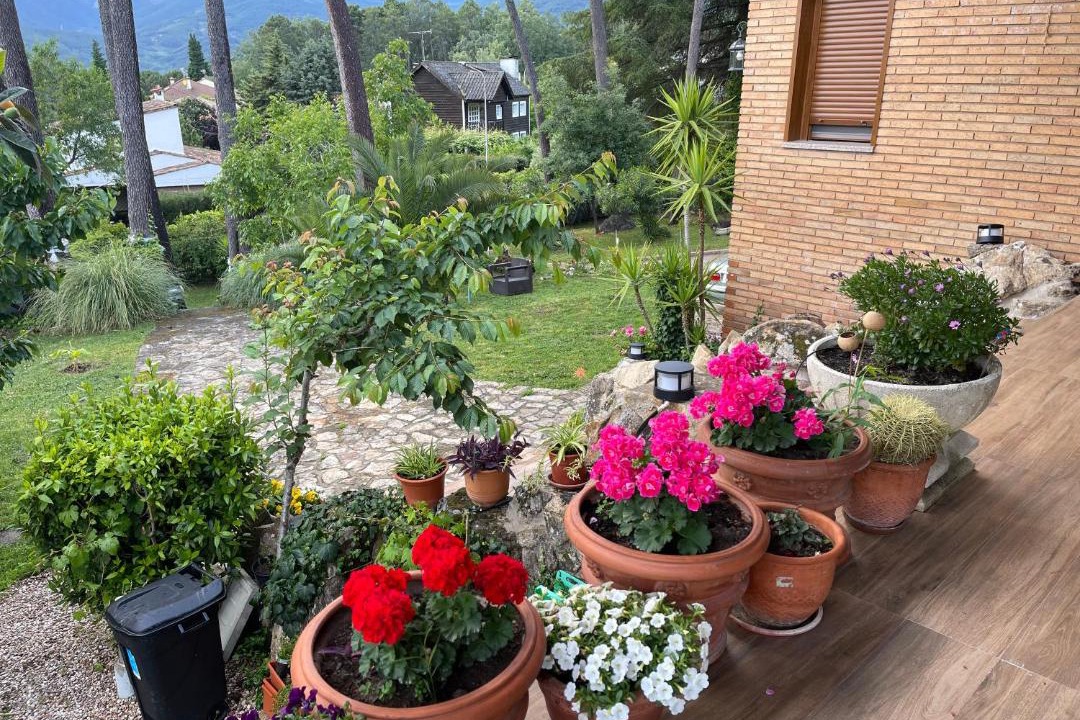 Photo of Patio Balcony in Arenas de San Pedro
