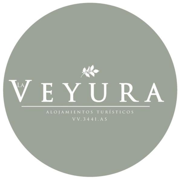 Photo of Others in Vegarrionda