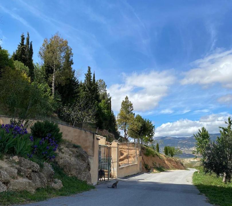 Photo of Others in Fontanar
