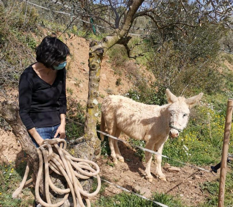 Photo of Others in La Garriga