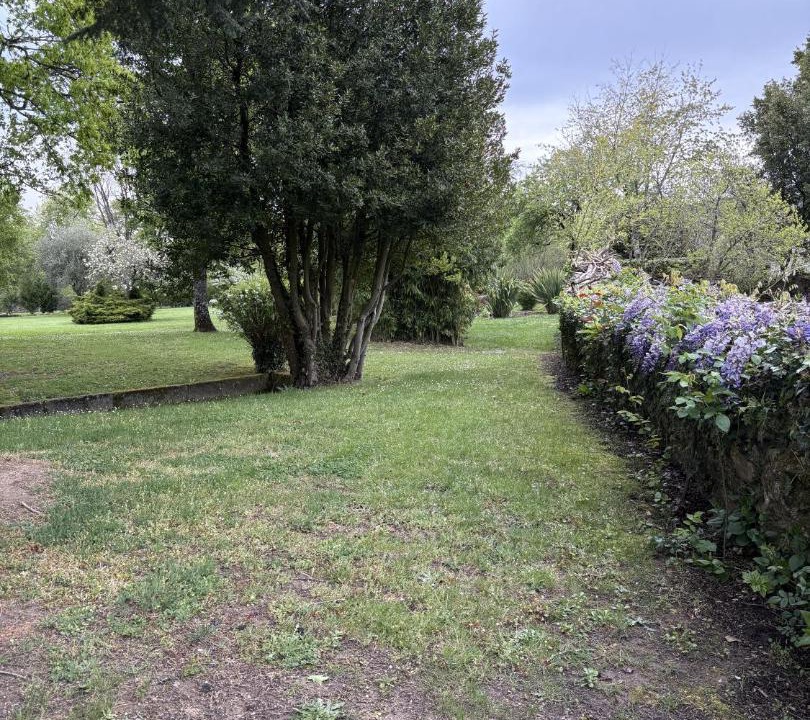 Photo of Outdoor in Celanova