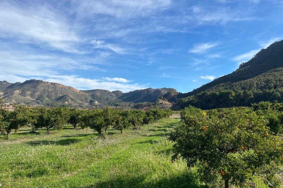Photo of Others in Huerta de Arriba