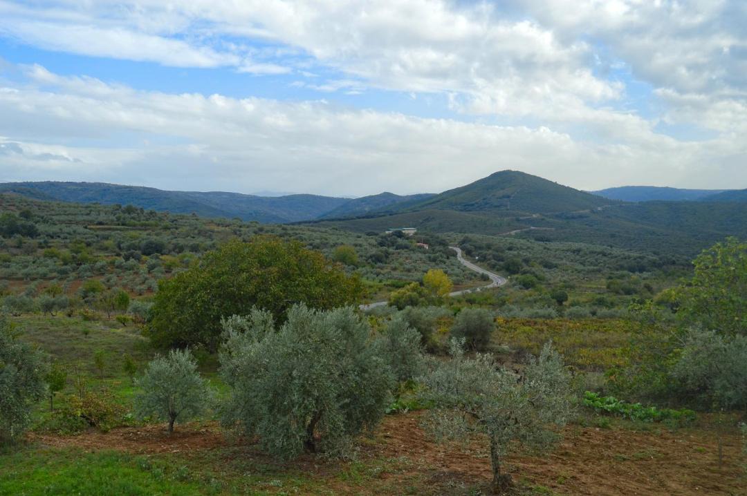 Photo of Others in Sotoserrano