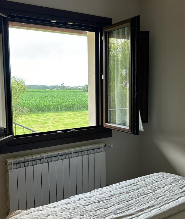 Photo of Bedroom in Canedo