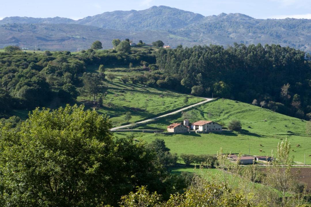 Photo of Others in Herrerias