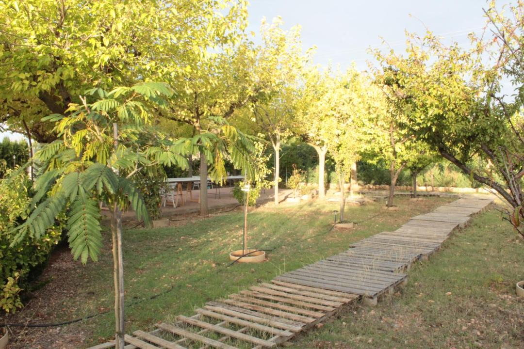 Photo of Others in Argamasilla de Alba