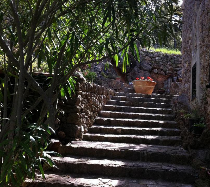 Photo of Buildings in Valldemossa