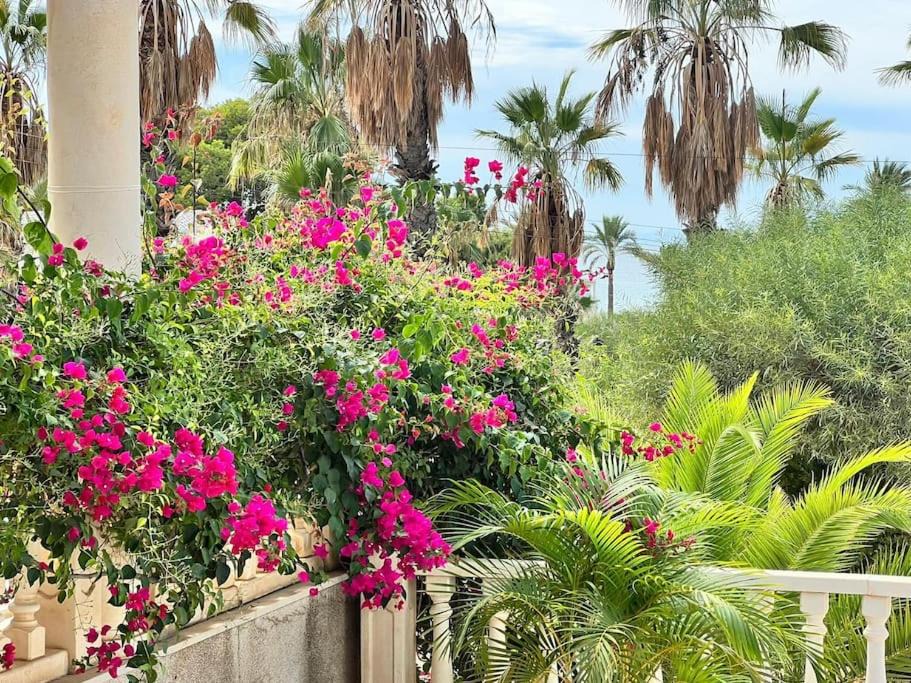 Photo of Patio Balcony in La Azohia
