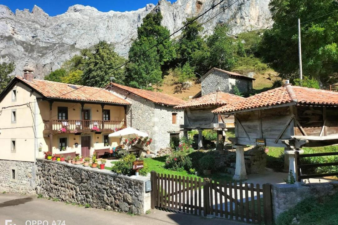 Photo of Others in Cordinanes
